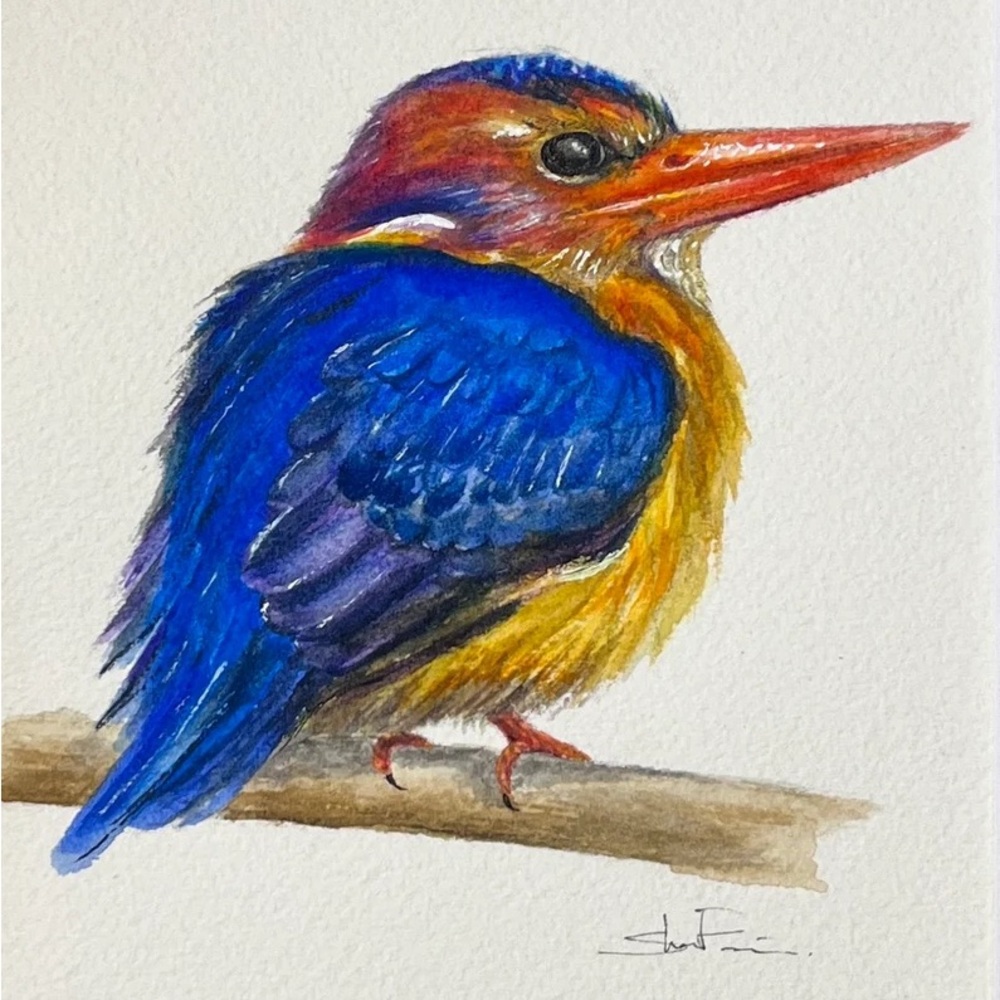 Original Watercolor Kingfisher Bird Painting by me (Shannon Perrie/Perrie…